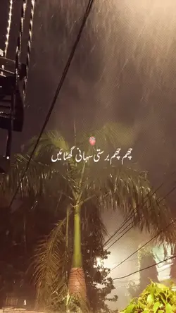 BARISH TEMPLATE 🫠
