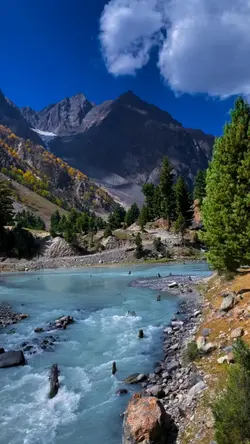 دل تے ول ول تیر چلا