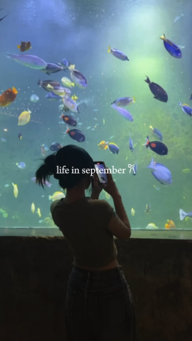 La vida en septiembre 