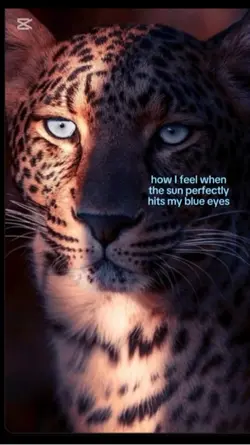 Blue eyes