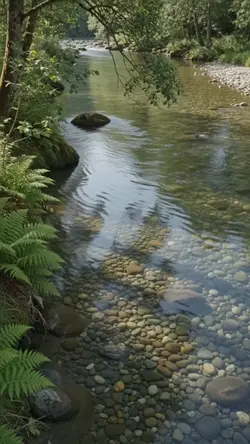 sungai asri