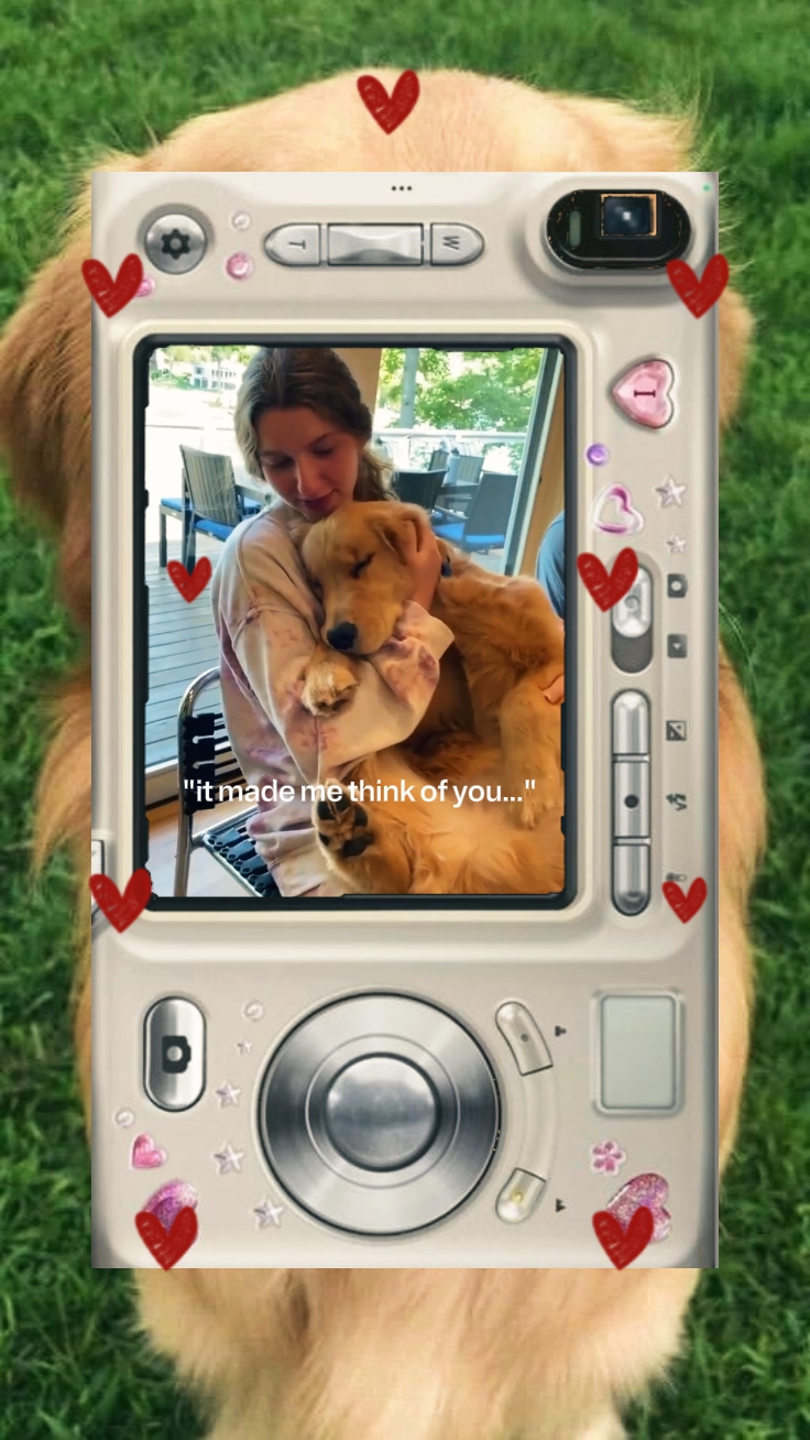 Köpeğim 