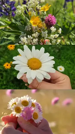 Spring Aesthetic