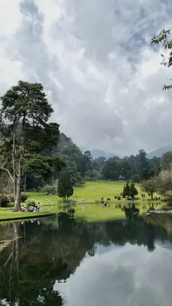 dengar alam bernyany