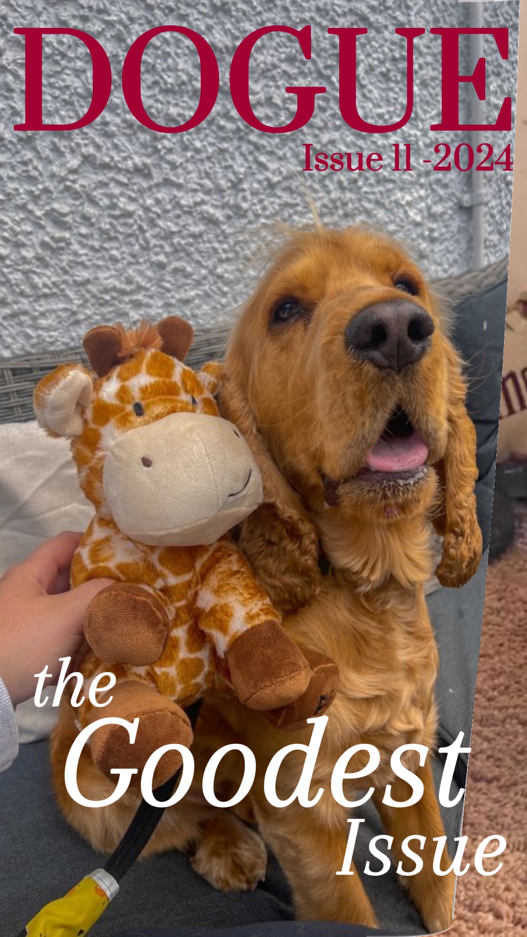 Dogue Magazine