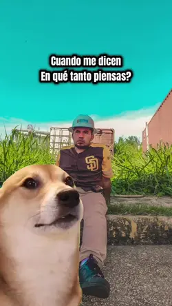 perro bailando 