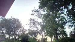 My Village Nature