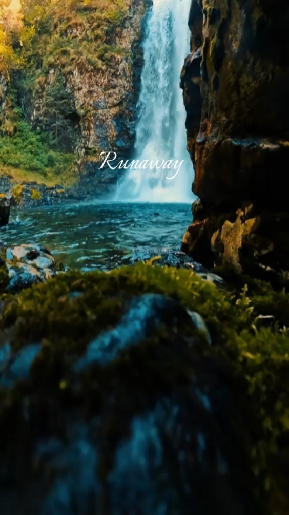 Runaway - aurore -