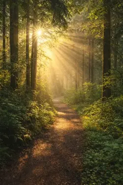 Keep Going, You Are