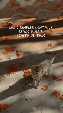Viva o simples