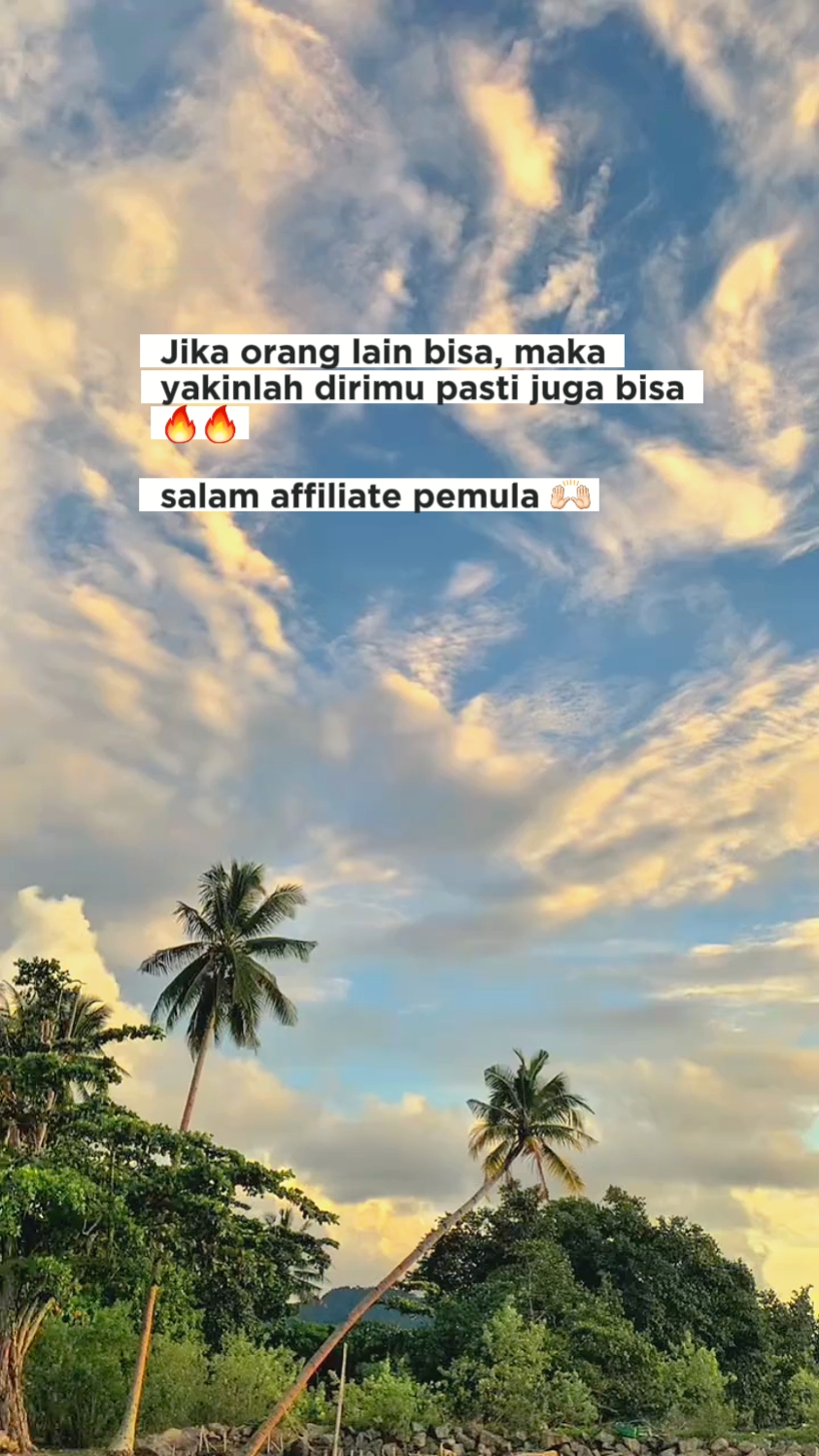 Tiktok afiliado