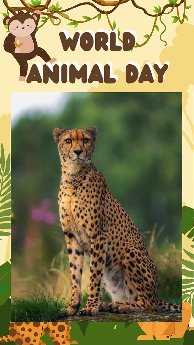 World Animal Day