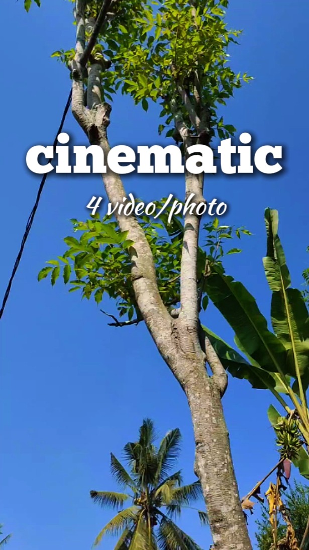 cinematic 4 video