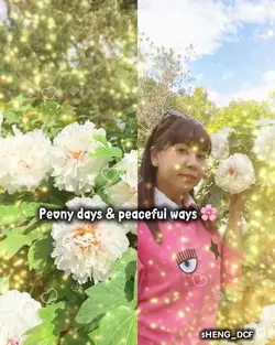 Blooming Thru Sprin