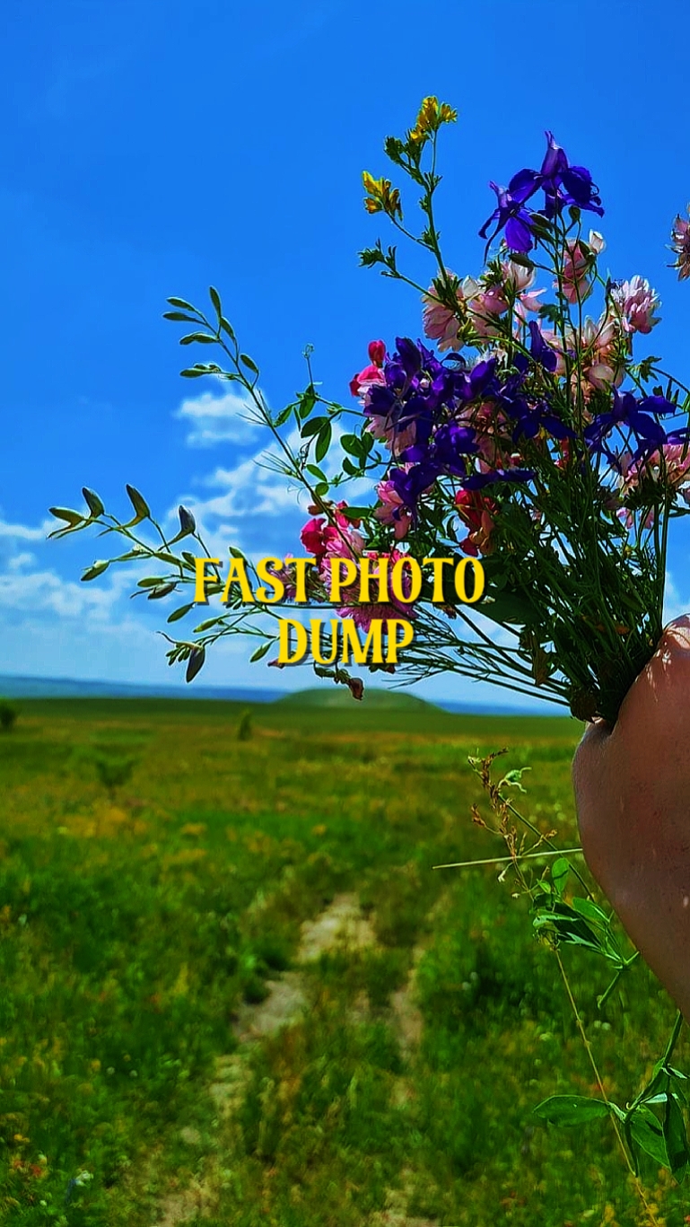 Fast Photo Dump