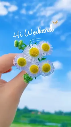 Hi weekend