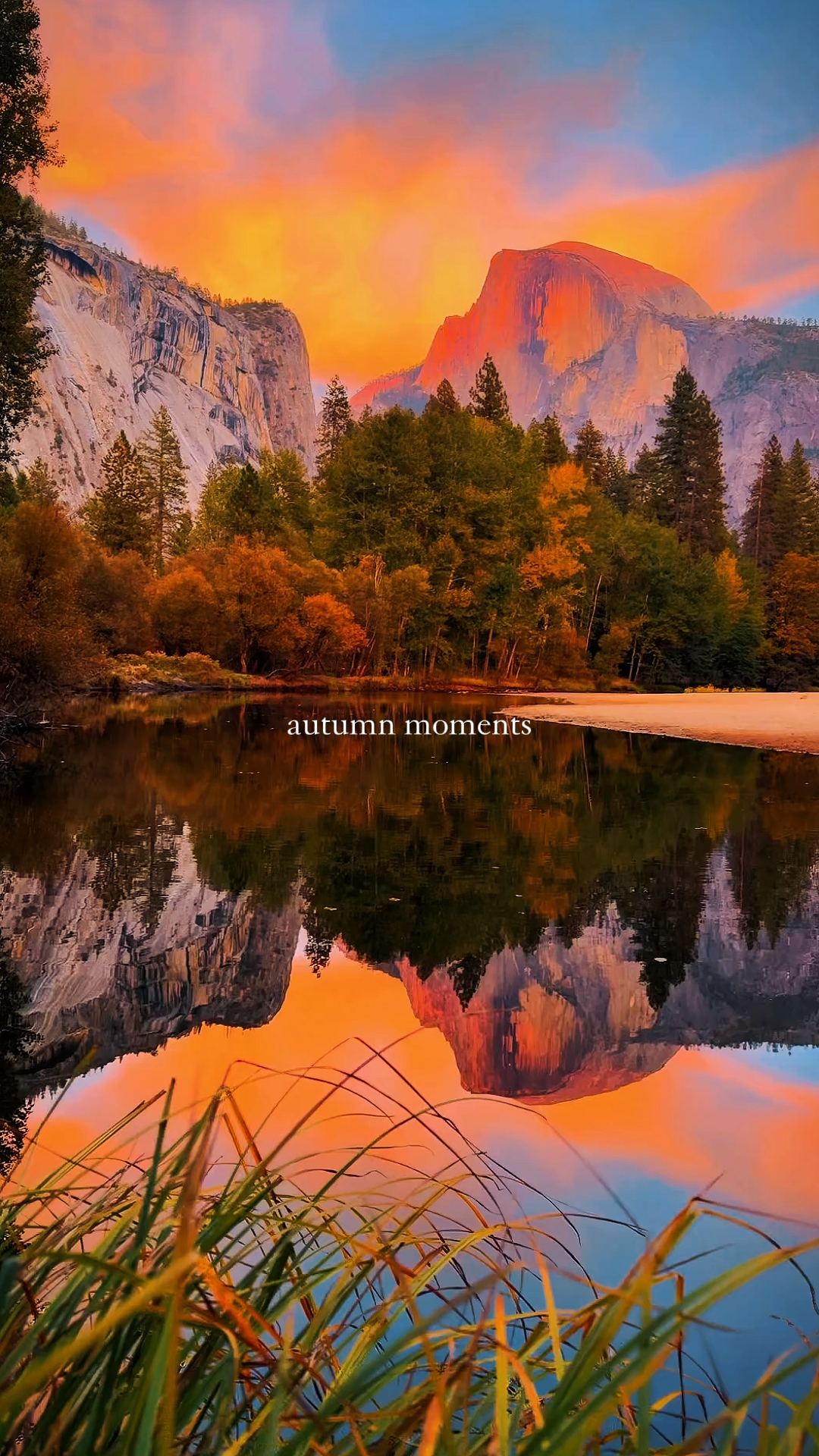 autumn moments