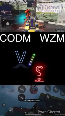 CODM vs WZM