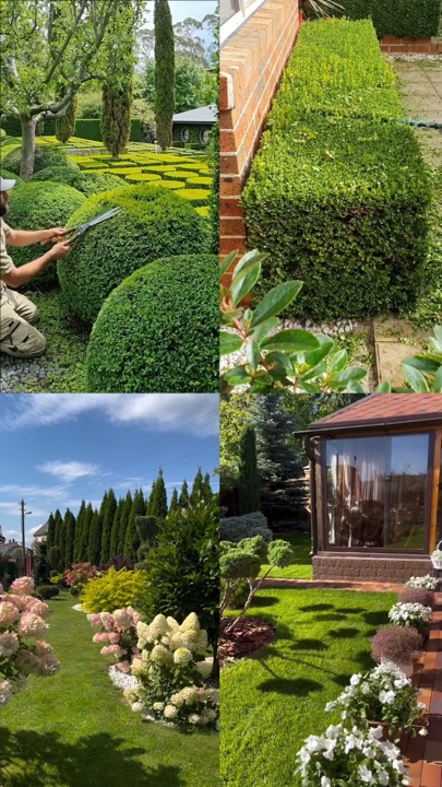 Jardinage