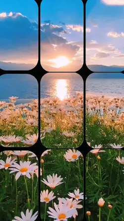Cool cinematic effec
