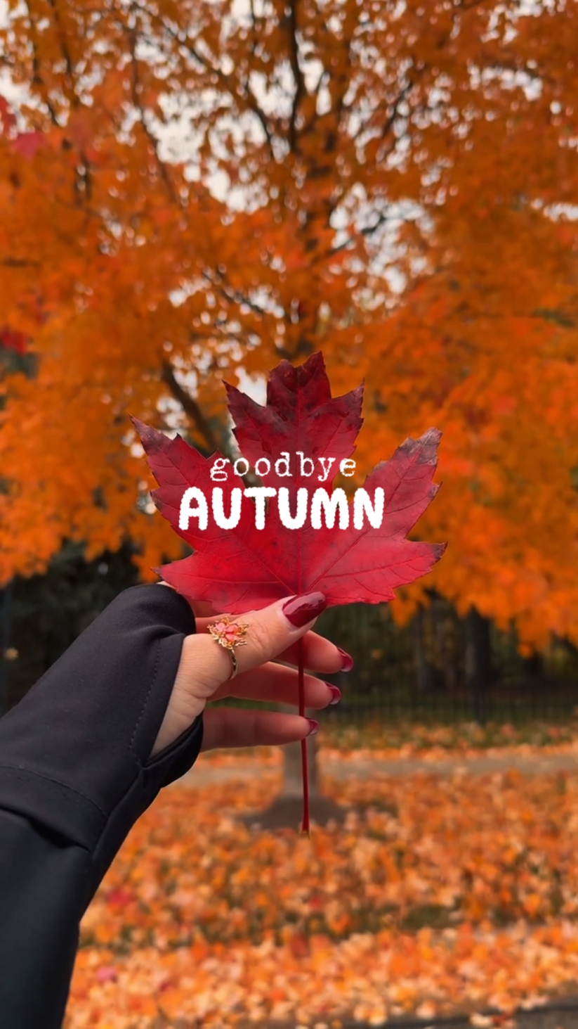 Adiós otoño 