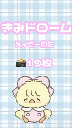 きみドローム 19枚