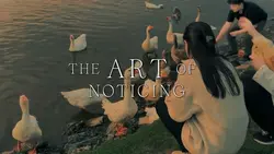 The Art of Noticing