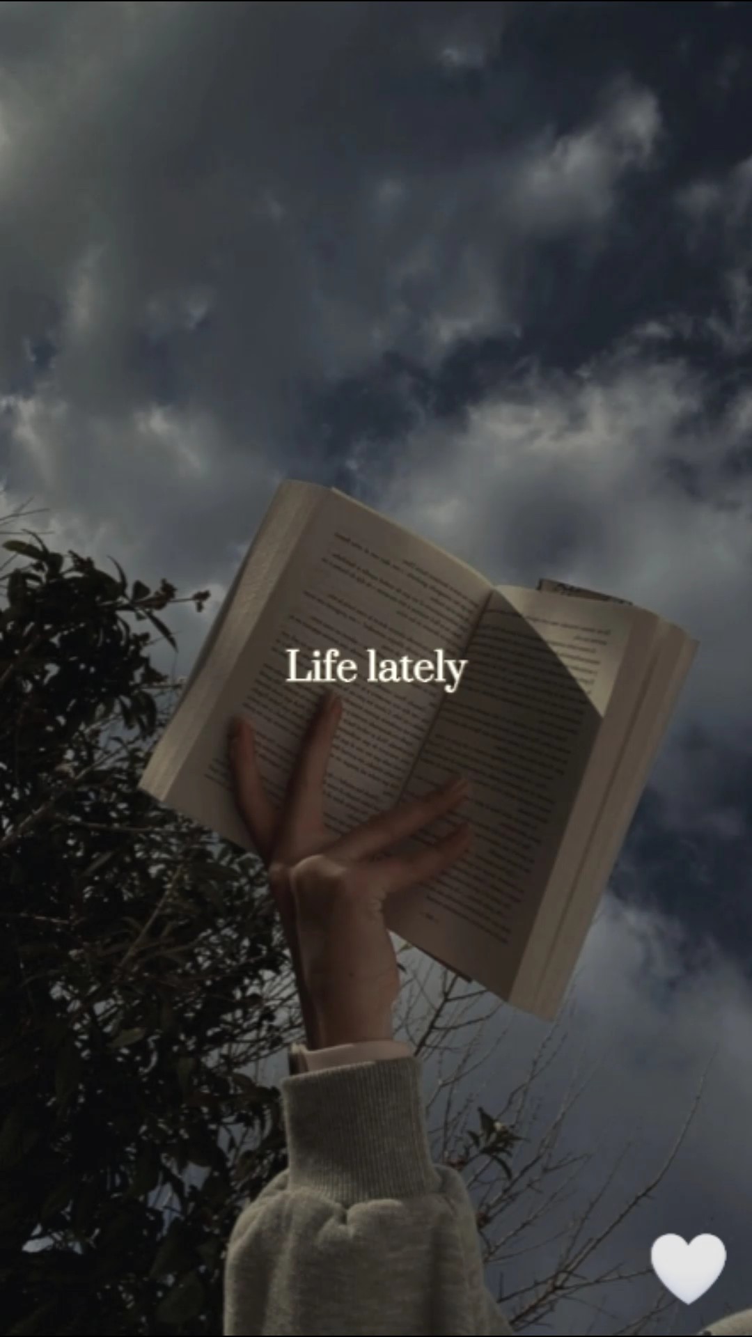 Life 