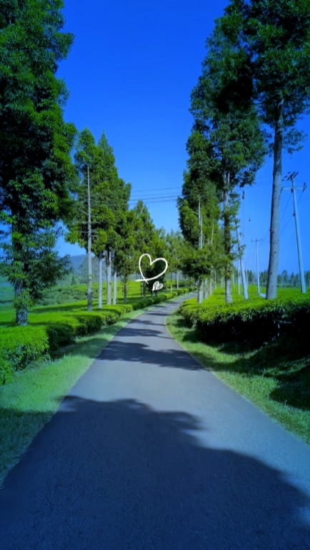 slowmotion blue 