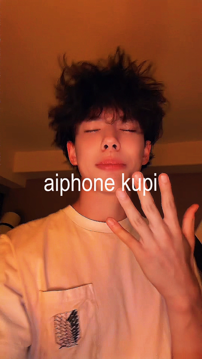 AIPHONE KUPI