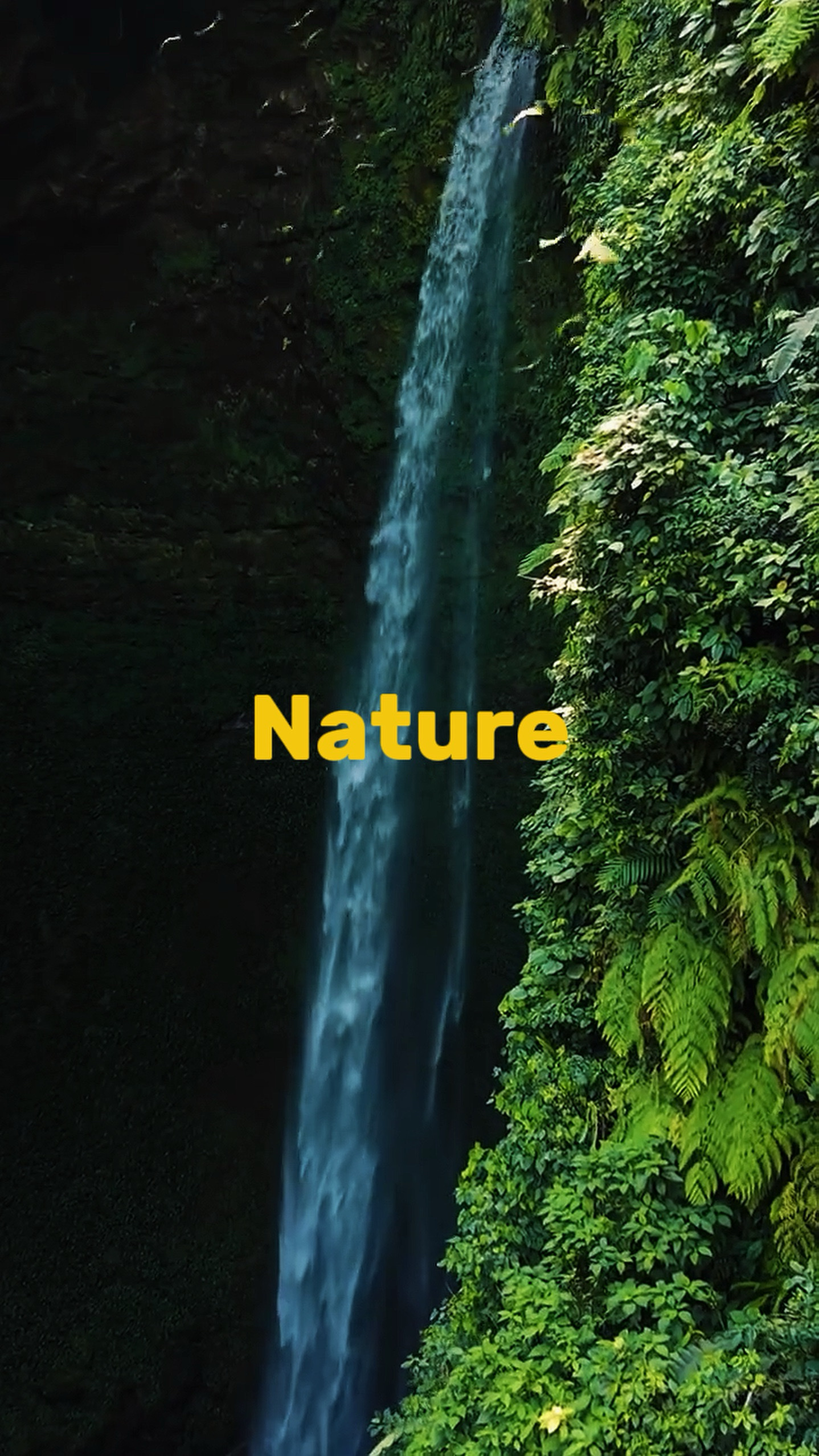 9 video or photo