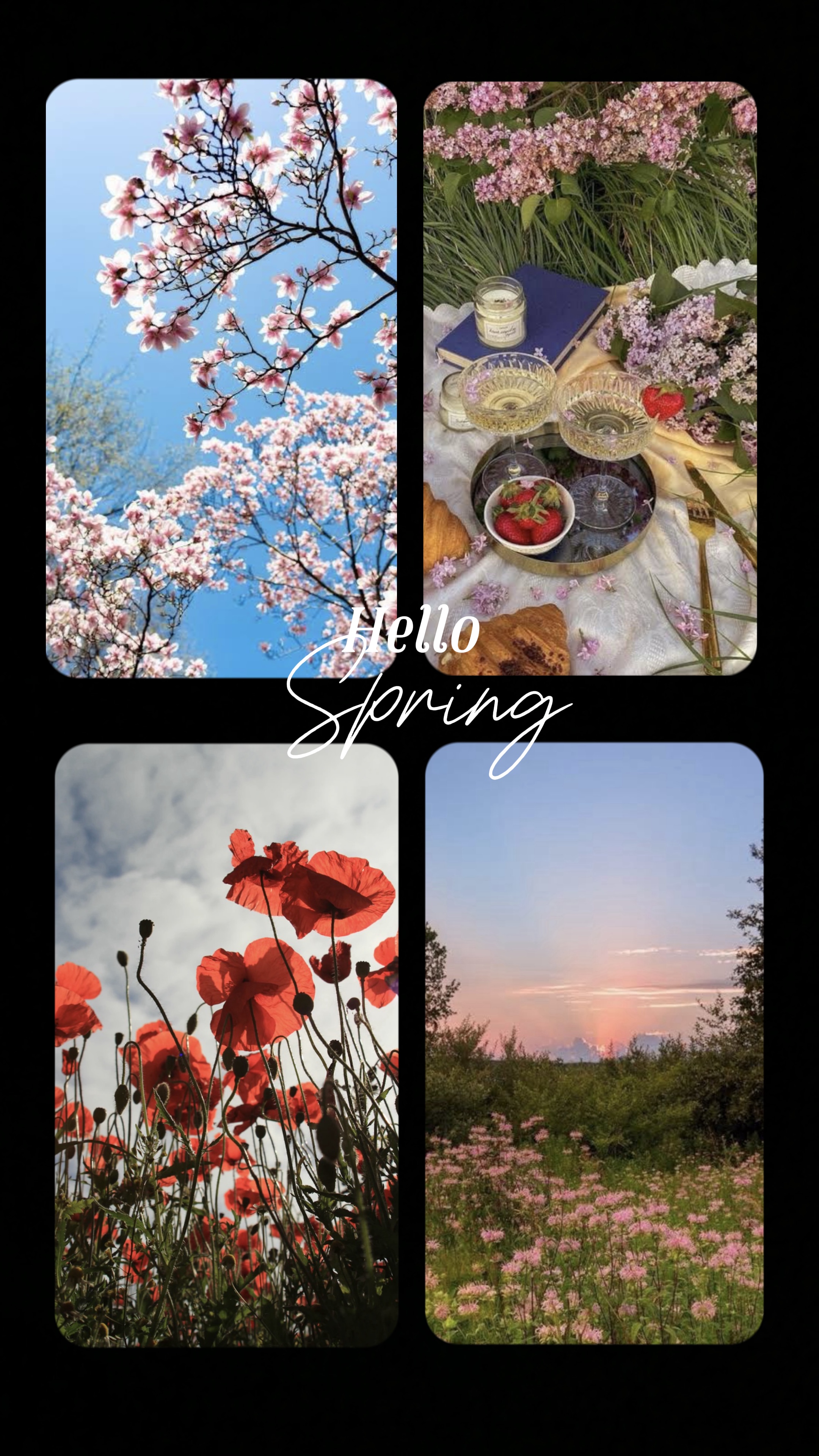 Hello Spring 
