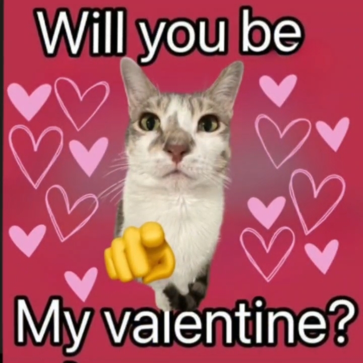 will you? please?