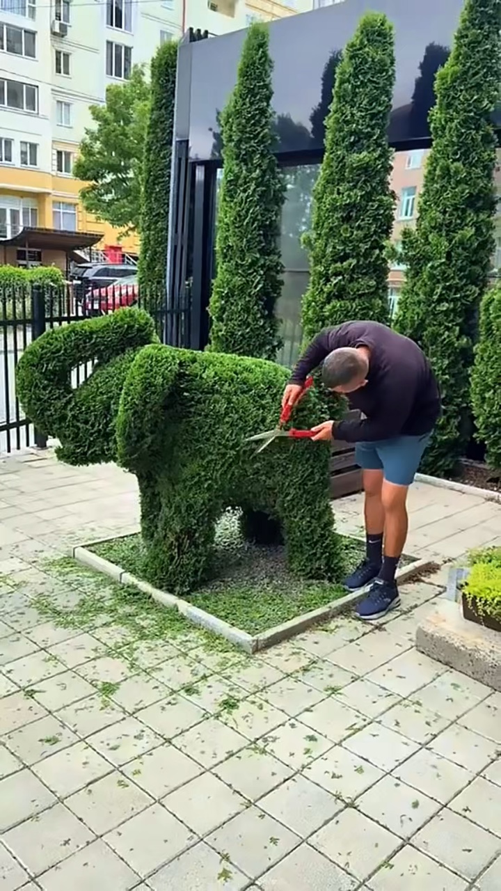 Jardinería
