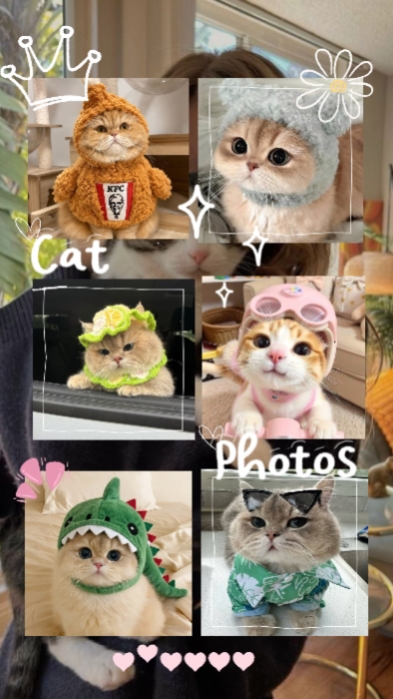 Happy Cat Day