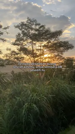 LDR