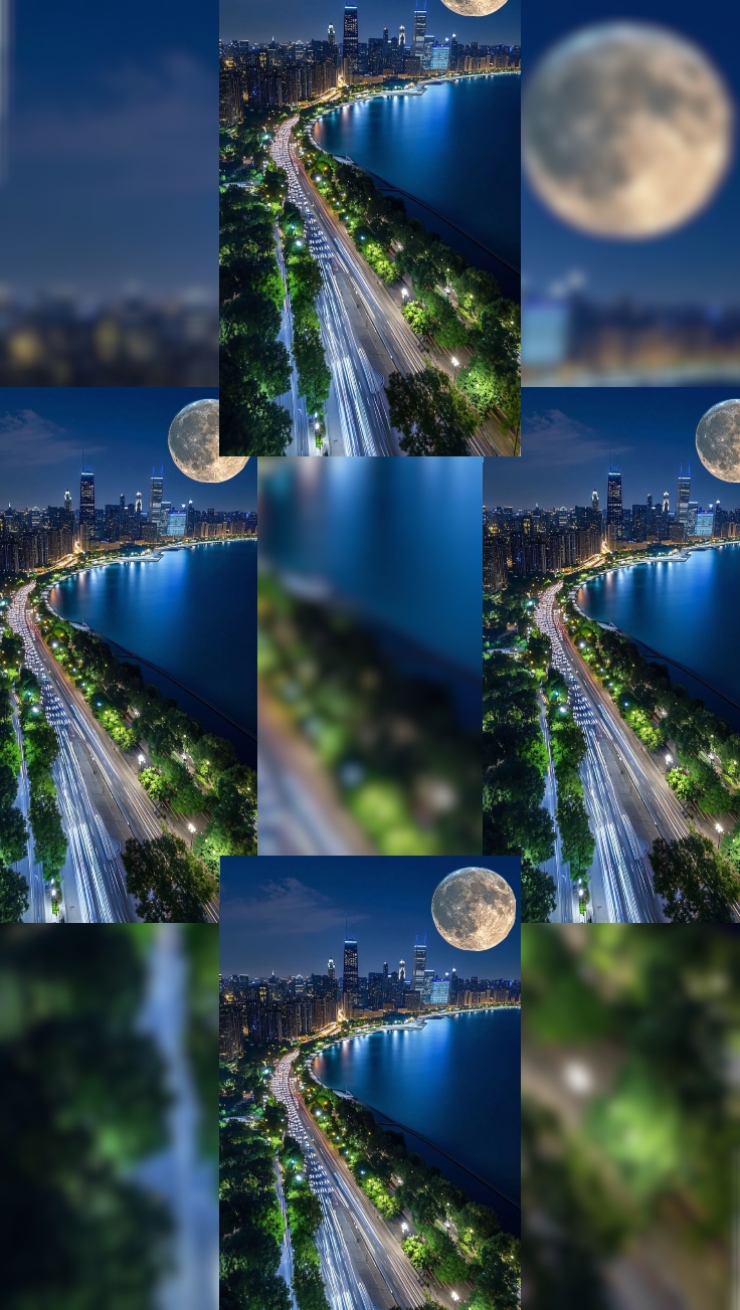 Cover Picture