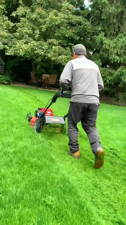 Berkebun