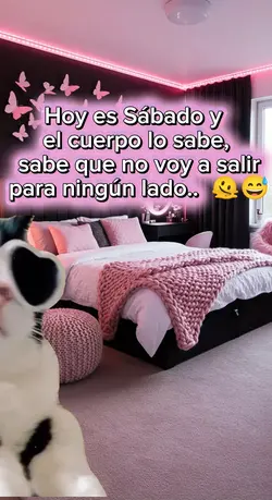 hoy es sabado 