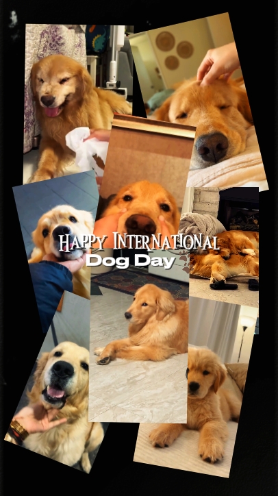 Happy World Dog Day