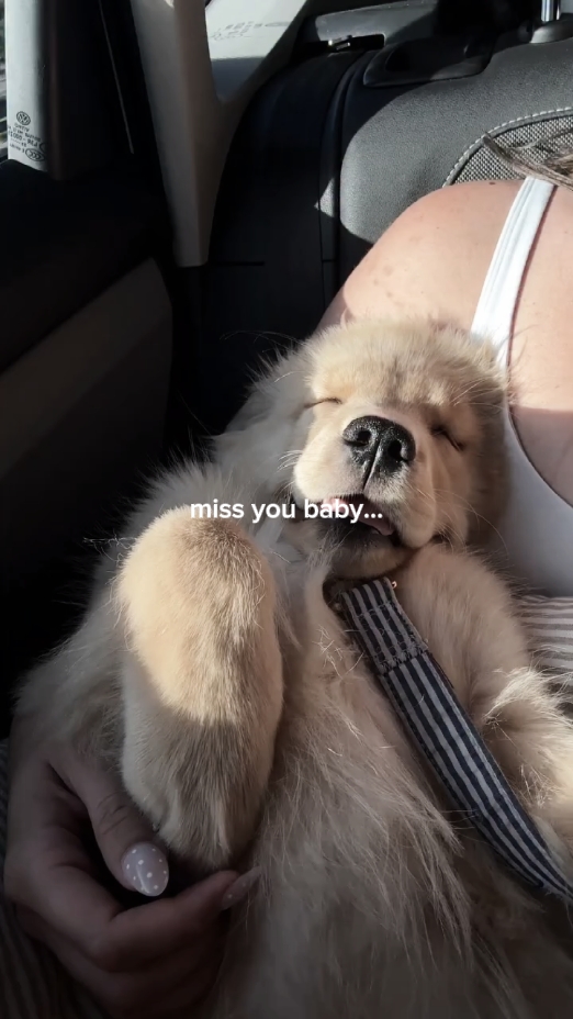 miss you dog  