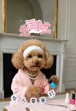 生活儀式感