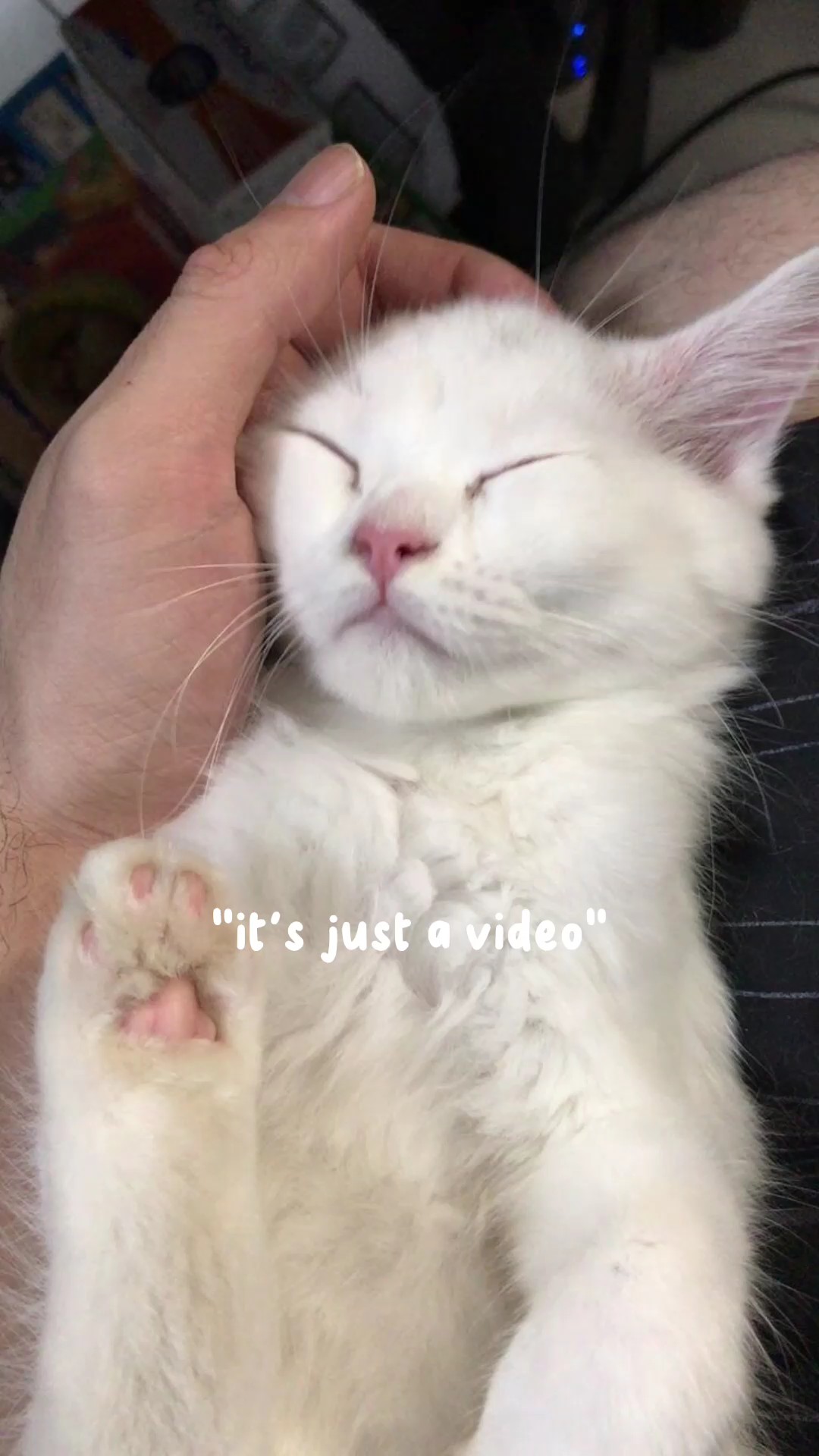  ໒꒰ྀི´ ˘ ` ꒱ྀིა 