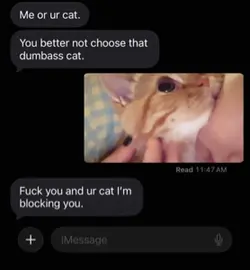 me or your cat?
