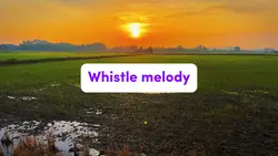 Whistle melody