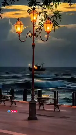 Cảnh Biển về đêm