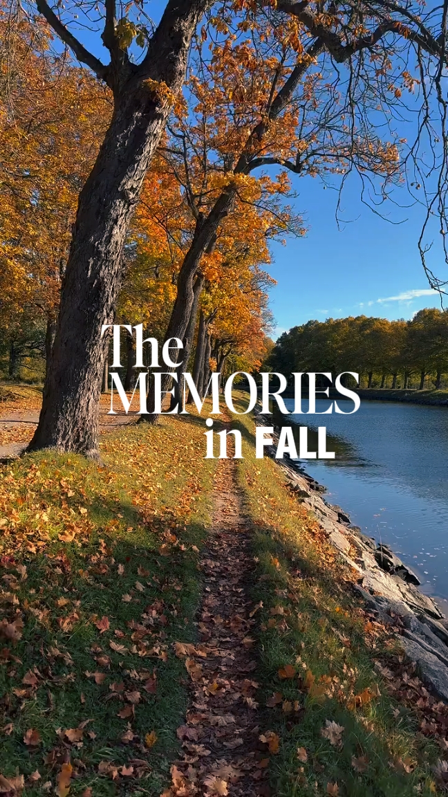The memories in fall