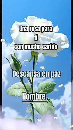 Plantilla difunto