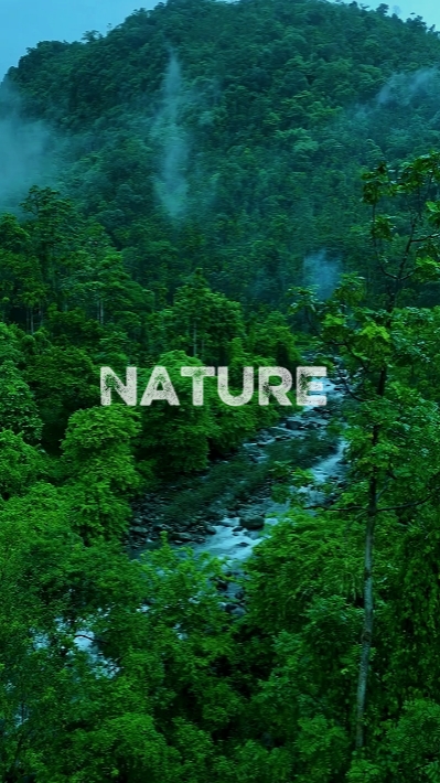 Natureza 4 clipe
