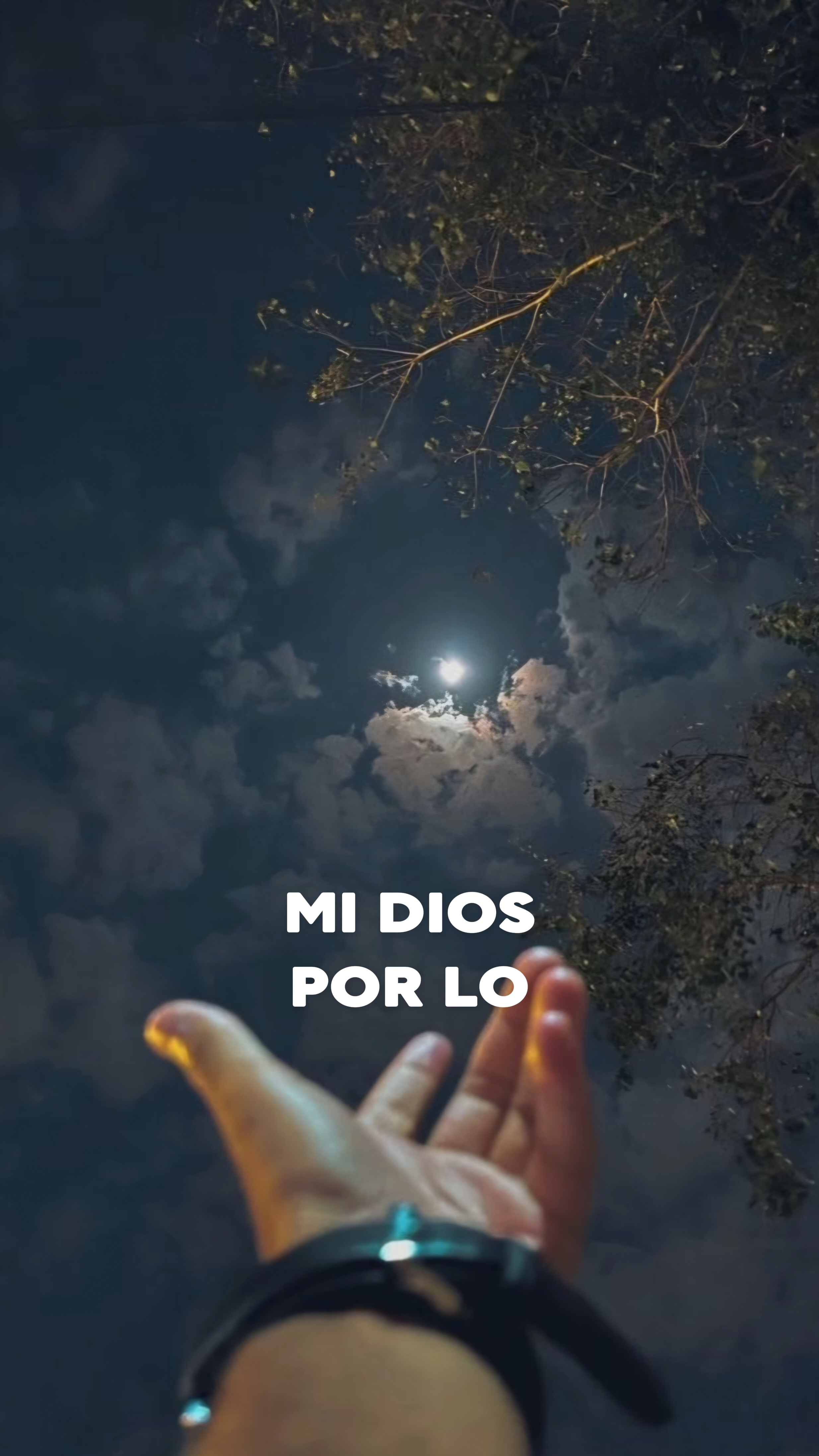 gracias mi Dios